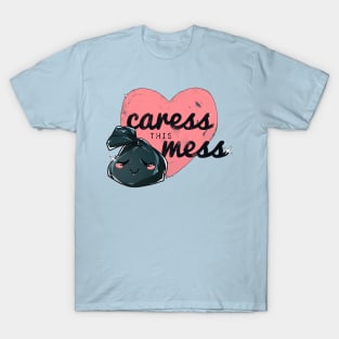 caress this mess T-Shirt